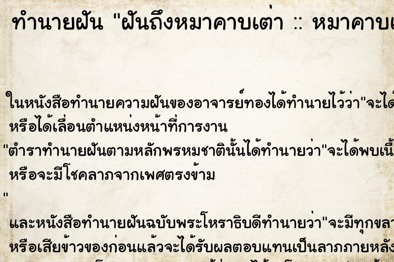 ทำนายฝันฝันถึงหมาคาบเต่า::หมาคาบเต่า ทำนายฝันทำนายฝันฝันถึงหมาคาบเต่า::หมาคาบเต่า